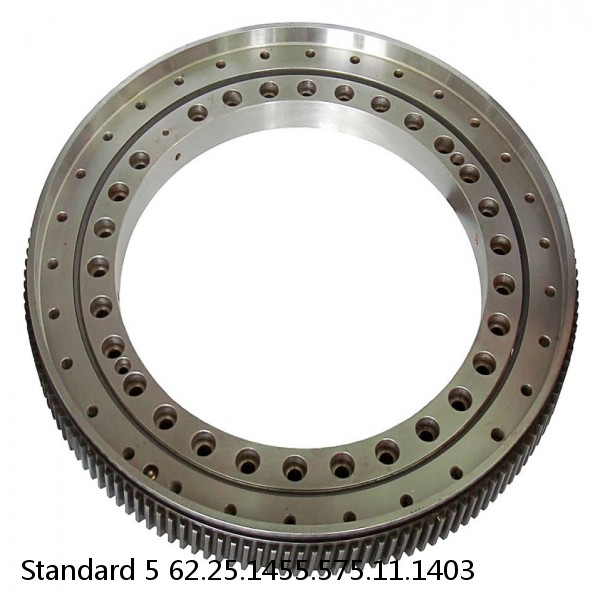 62.25.1455.575.11.1403 Standard 5 Slewing Ring Bearings #1 image